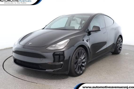 TESLA MODEL Y 2023 7SAYGDEF8PF843011 image